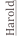 shapeimage_4_link_7