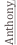 shapeimage_3_link_0