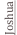 shapeimage_2_link_0