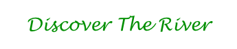 Discover The River