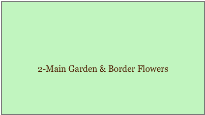 2-Main Garden & Border Flowers