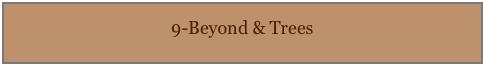 9-Beyond & Trees